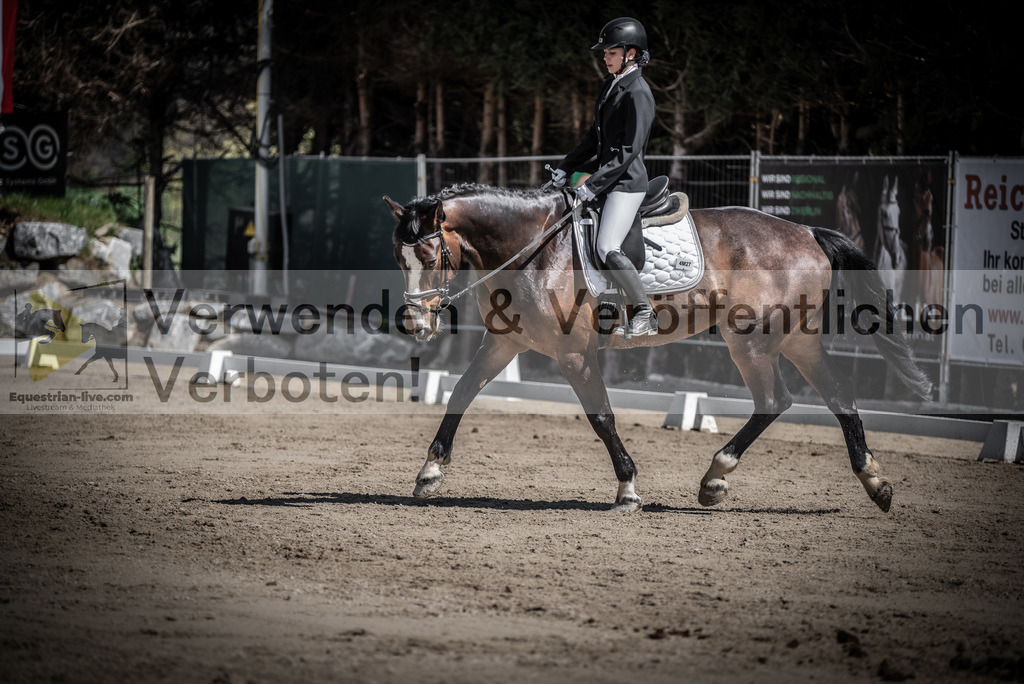 DSC_0363 | equestrian-live-com