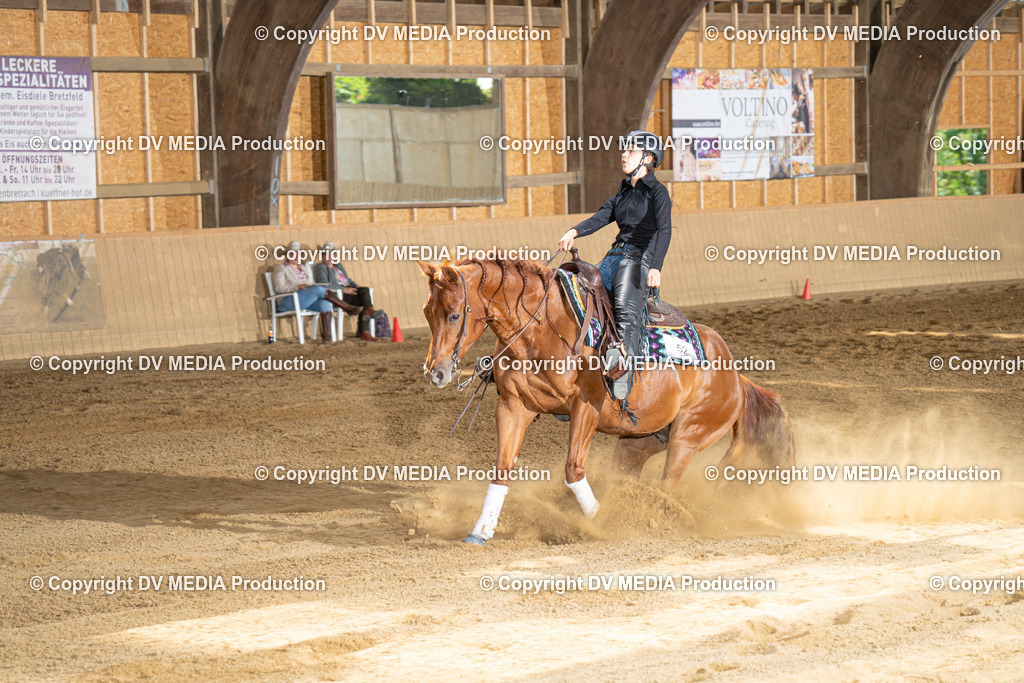 DSC00030 | dv-media-shop - Realisiert mit Pictrs.com