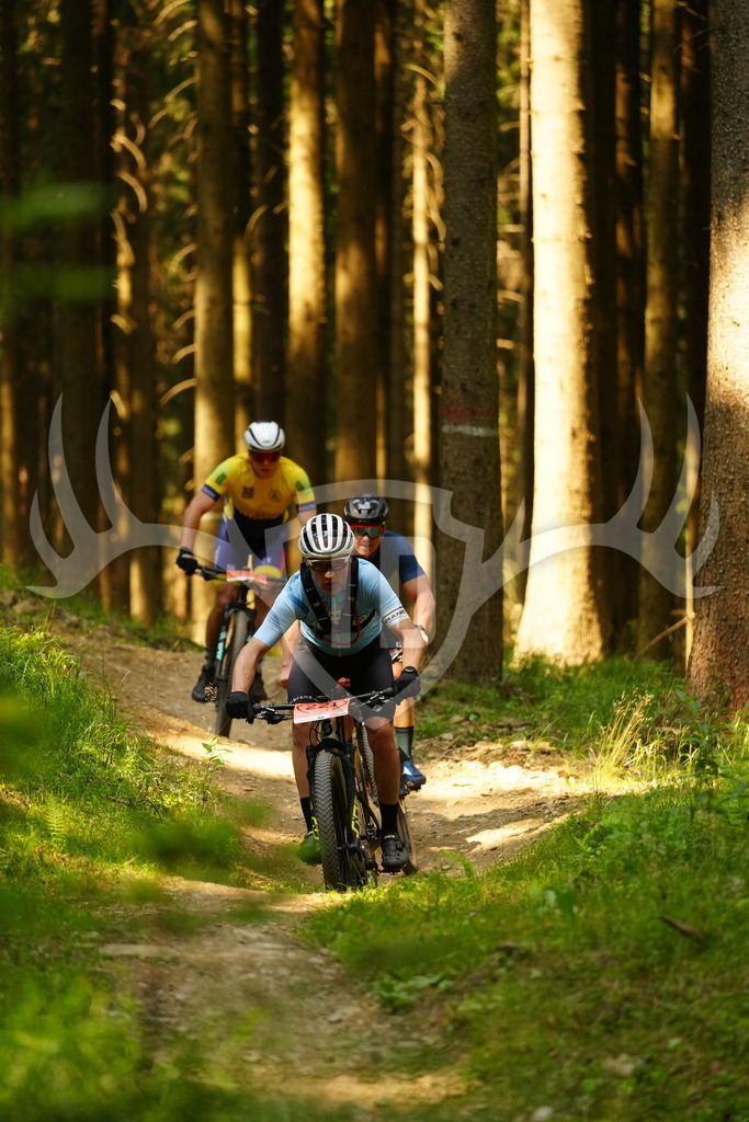 FC102933 | Fotogalerie der Treibjagd im Dunkelwald - Dein MTB Etappenrennen im Erzgebirge - Realisiert mit Pictrs.com