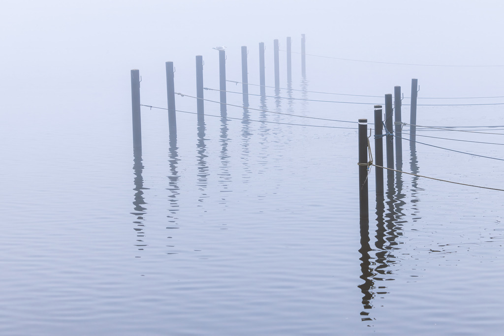 Wandbild: Pfahlreihe im Nebel – Schlei bei Kappeln | Eine stille Szene an der Schlei bei Kappeln: Eine Reihe von Pfählen mit gespannten Leinen tritt im dichten Nebel als feine, grafische Struktur hervor. Die ruhige Wasserfläche spiegelt die Linien sanft, während der Nebel Hintergrund und Horizont vollständig auflöst. Die minimalistische Komposition und die gedämpfte Farbwelt verleihen diesem Motiv eine elegante, fast abstrakte Fine‑Art‑Ästhetik mit klar erkennbarem regionalem Charakter.