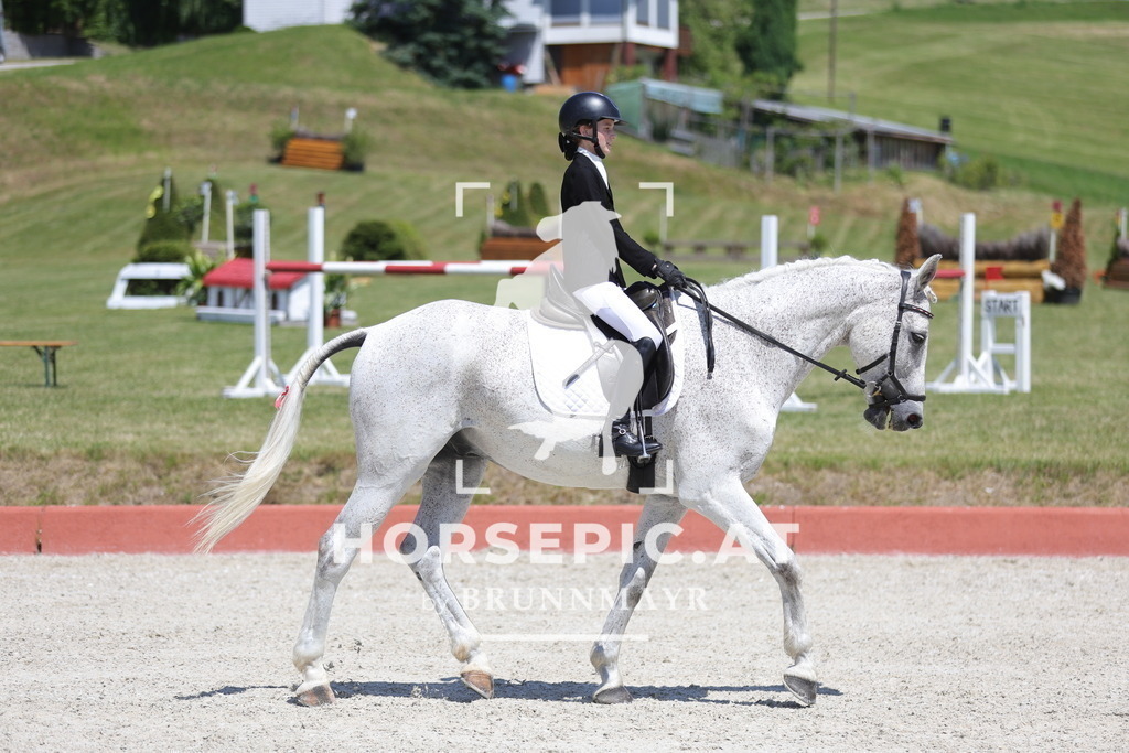 0P6A6427 | Willkommen bei Brunnmayr - Design & Fotografie – Ihrem Spezialisten für Reitturniere und Pferdeveranstaltungen in Oberösterreich, Salzburg und Bayern! Seit über 17 Jahren sind wir leidenschaftlich dabei.