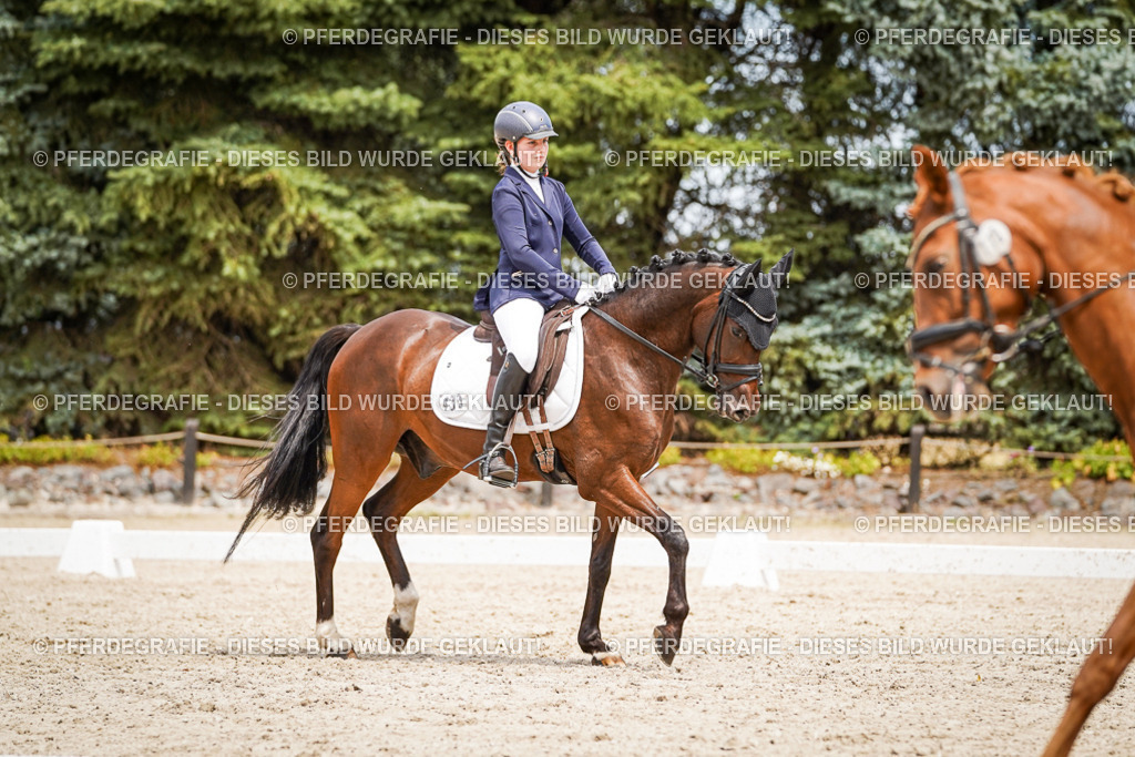 DSC04210 | Pferdegrafie