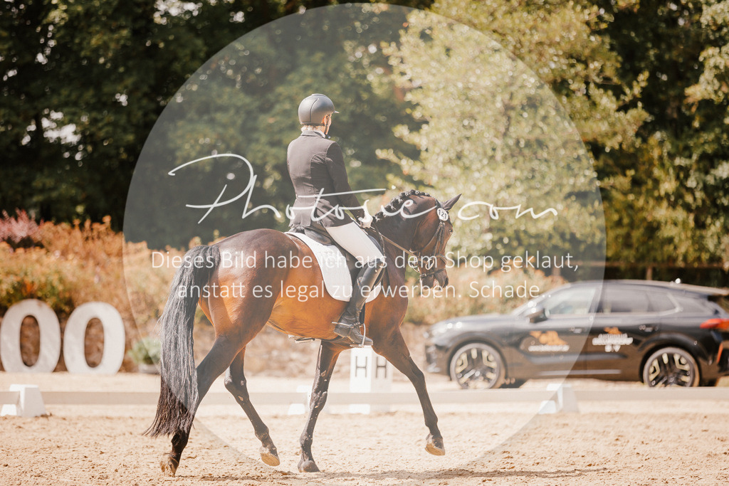 3I6A6256 | Stimmungsvolle Portraits und Reitsportfotografie im Ruhrgebiet und im Münsterland.

Pferdefotografie, Hundefotografie, Tierfotografie, Reportagen, Portraits von Tier und Mensch, Turnierfotografie in Bochum, Recklinghausen, Marl, Haltern am See, Dülmen.. - Realisiert mit Pictrs.com