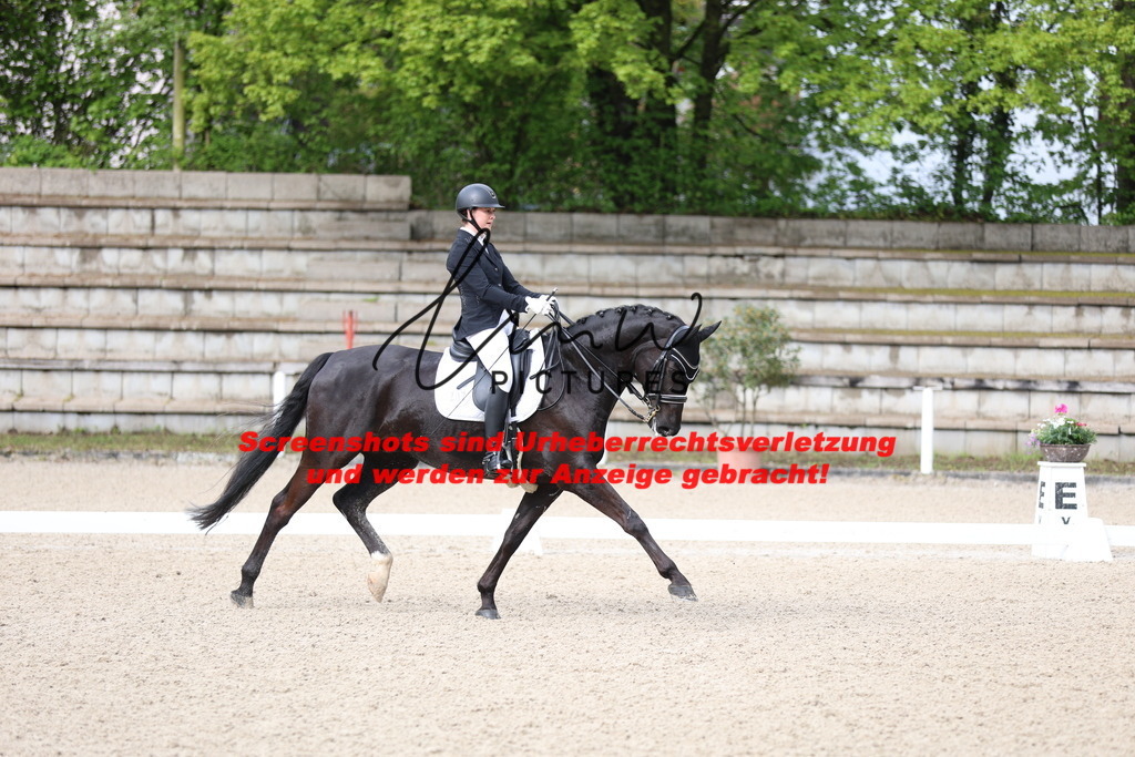 A40A0469 | lmwpictures - Realisiert mit Pictrs.com