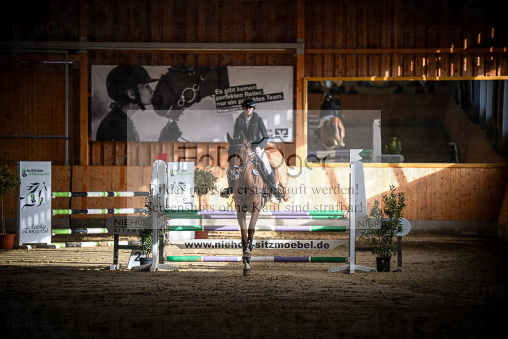 DOS_0366 | Entdecke hochwertige Reitturnierfotos von Foto Oger. Professionell, emotional und authentisch – jetzt Lieblingsmomente im Shop bestellen.Deutschlandweite Turnierfotografie. - Realisiert mit Pictrs.com