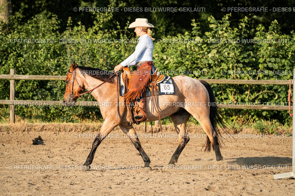 DSC06297 | Pferdegrafie