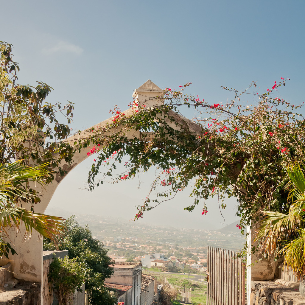 La Orotava, Teneriffa | Online Shop für Christen: Christliche Poster XXL, Plakate, Wandbilder als Leinwand & christliche Postkarten, Kalender, Sticker & Lizenzen zum Download. Die Kunstwerke im christliche Geschenke Shop zeigen die Jahreslosung 2025, Gott, Jesus & mehr.