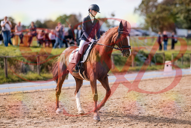 2026_10_03_Siefer-Hof_133108_Z81_84490590 | Professionelle Reitsport-, Turnier- und Eventfotografie von Robert Broda. Galerien mit ausgewählten und bearbeiteten Bildern direkt online ansehen und bestellen.
