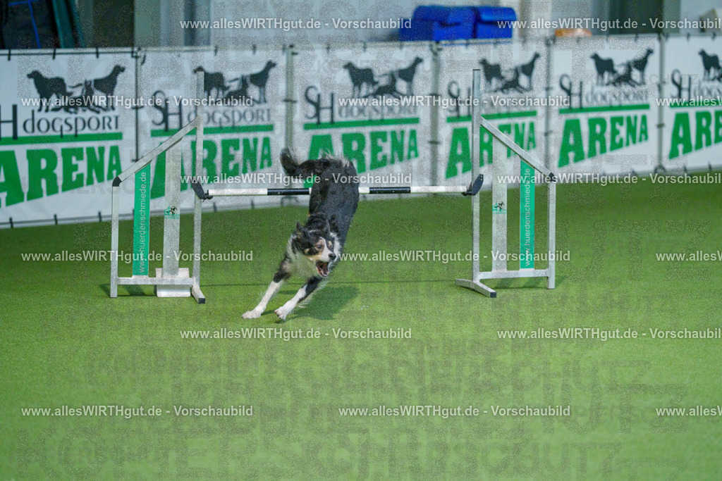@allesWIRTHgut_Tierfotografie - www.allesWIRTHgut.de - 2604250937-7R508628 | Professionelle Tierfotografie in Mönchengladbach von Daniel Wirth (allesWIRTHgut). Liebevolle & natürliche Bilder von Hunden & Katzen für unvergessliche Erinnerungen.