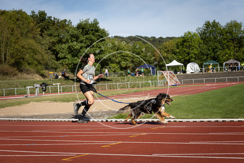Pfotenfotografie_DV3A8546 | Hundefotografie, Tierfotograf, Pfotenfotografie, Fotoshooting Hund, Hunde Portrait, Hundesport, Hundeportraits, Heideshooting, Hunde, Sportfotograf, Hundefotograf, Turnierhundsport, THS,  - Realisiert mit Pictrs.com