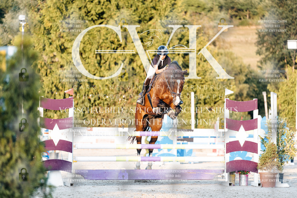 CK901112 | Turnierfotografie Pferdefotografie Trier Rheinland-Pfalz Pferdesport Reitsport Tierfotografie Sportfotografie Pferdevideo Pferdevideografie Equestrianvideography equestrianphotography  - Realisiert mit Pictrs.com