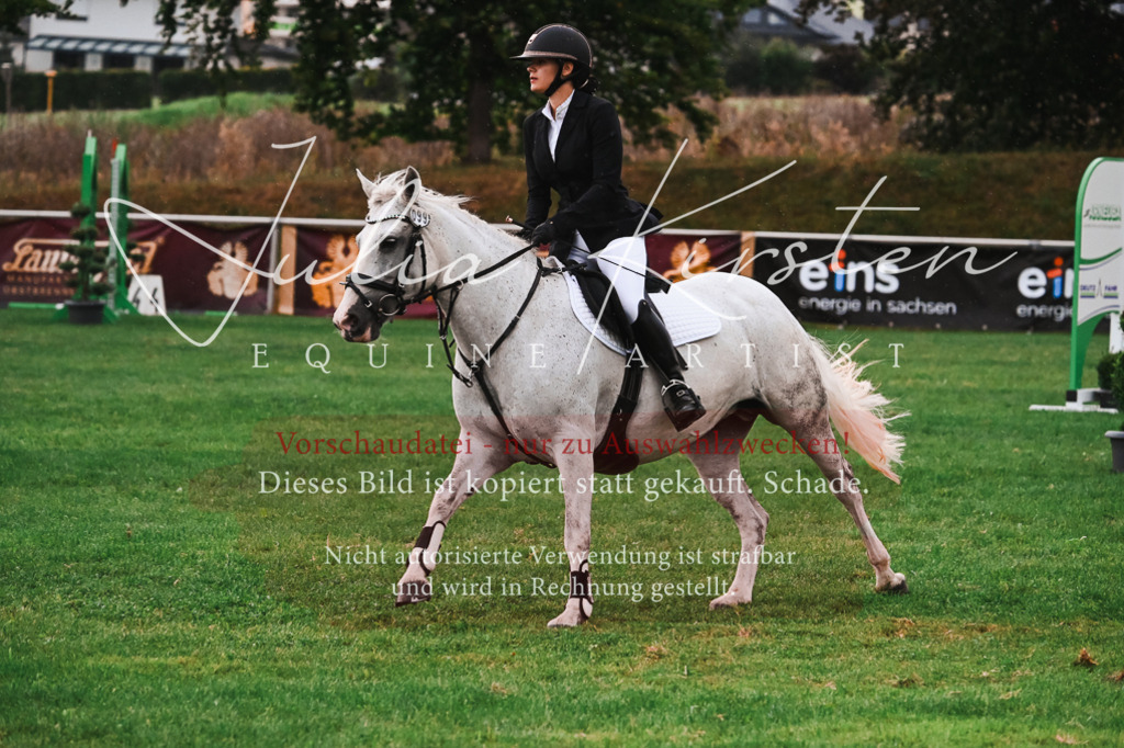 DSC_6181 | Pferde- und Turnierfotografie in Westsachsen. Pferdeportraits, Auftragszeichnungen und intuitive Kunst.
