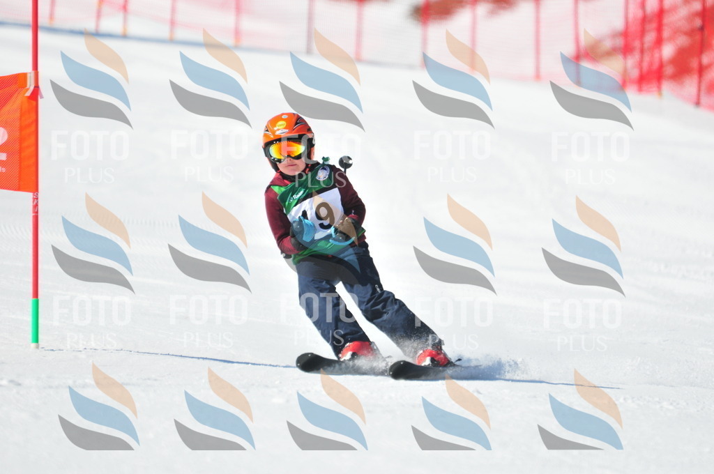 C2502 | holidayphoto