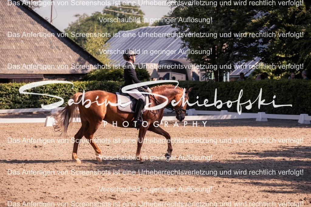 2025_05_31_DSCF2963 | People- und Tierfotografie, Imageaufnahmen, Veranstaltungsfotografie und Wandbilder aus der Natur ★ Made in Germany ✔️ Druck + Downloads ✔️ Naturfotografie in Top Qualität ★ schneller Versand, weltweite Lieferung! - Realisiert mit Pictrs.com