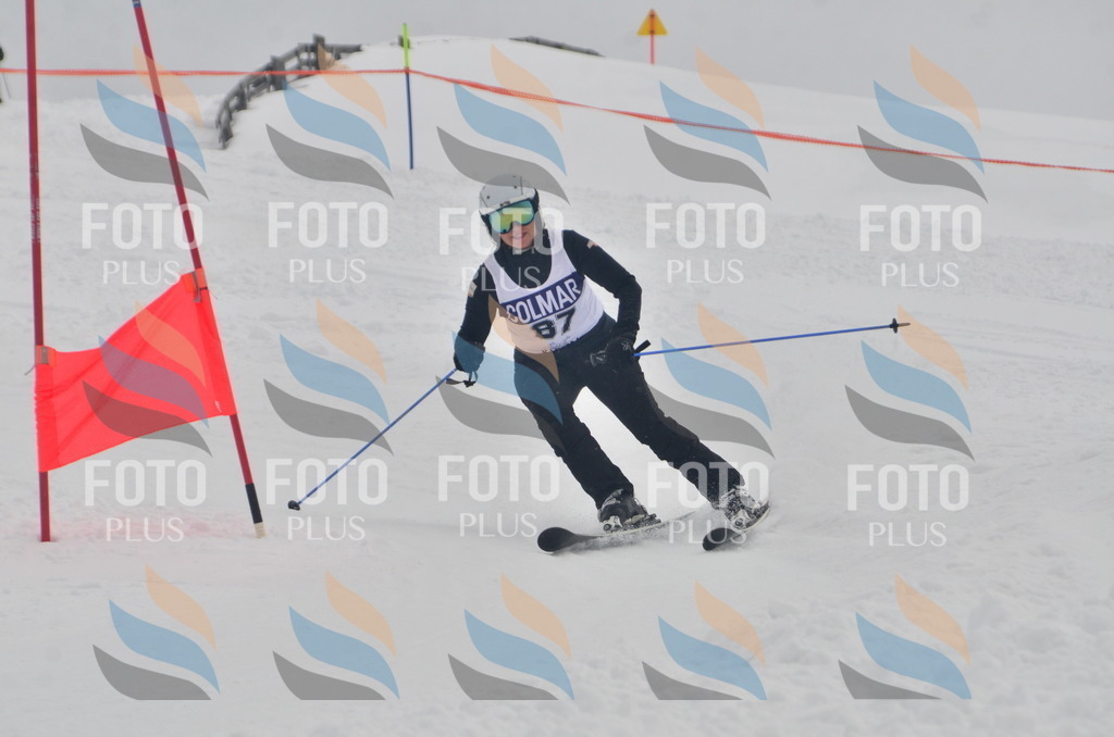 A5741 | holidayphoto