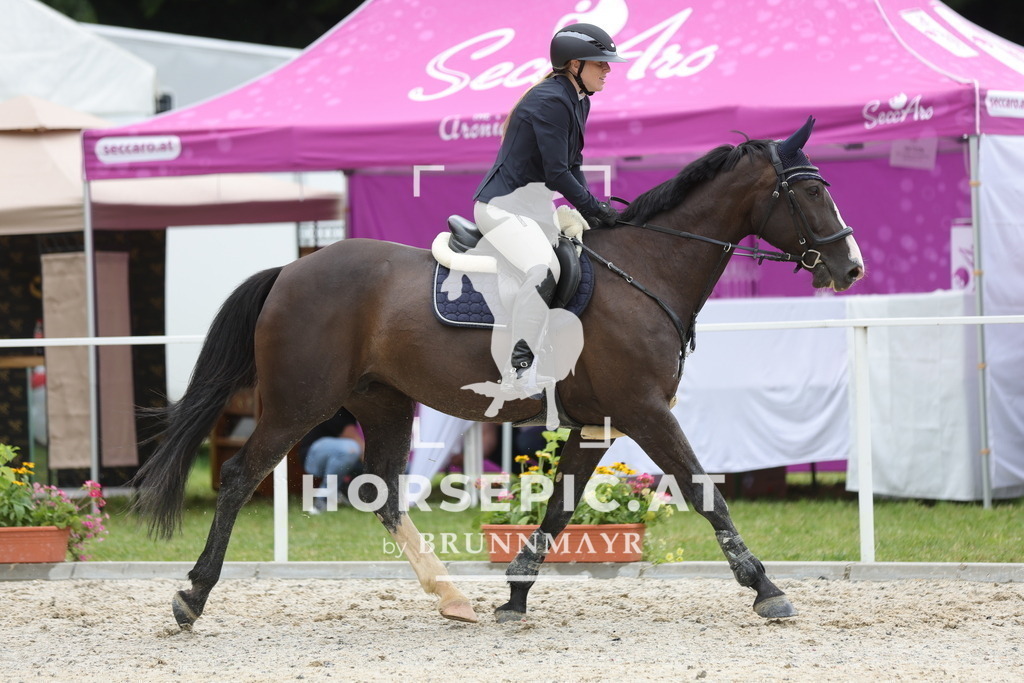 0P6A3734 | Willkommen bei Brunnmayr - Design & Fotografie – Ihrem Spezialisten für Reitturniere und Pferdeveranstaltungen in Oberösterreich, Salzburg und Bayern! Seit über 17 Jahren sind wir leidenschaftlich dabei.