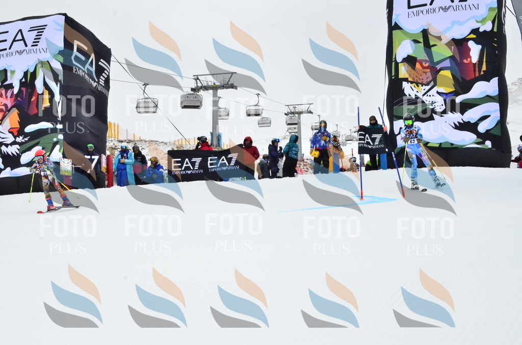 _ELE3438 | holidayphoto