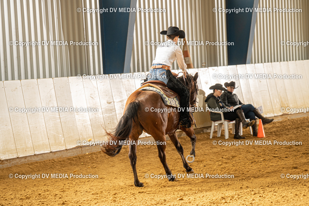 MIT00732 | dv-media-shop - Realisiert mit Pictrs.com