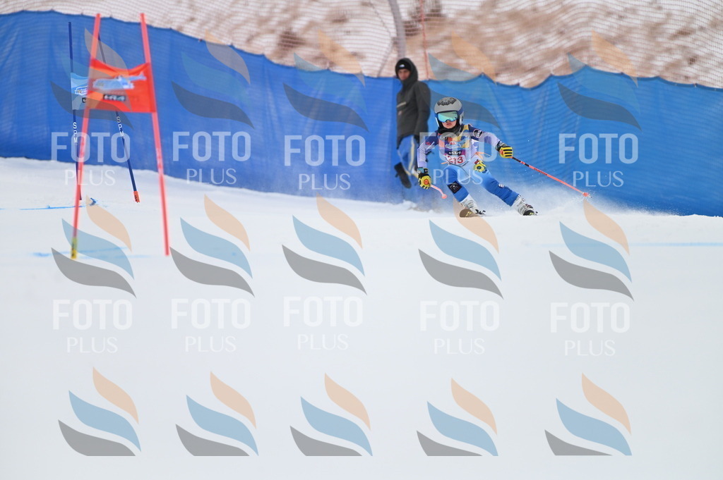 BGV_2559 | holidayphoto