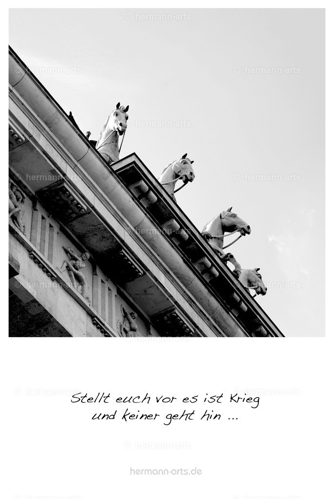 PK_Zitate_10x15_BW-021 | Photo Foto Kunst Art schwarzweiss Bilder Rheine Münster Berlin Blumen 