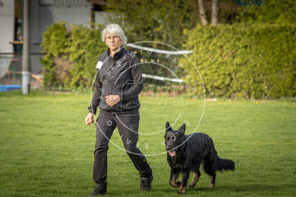 Pfotenfotografie_DV3A4863 | Hundefotografie, Tierfotograf, Pfotenfotografie, Fotoshooting Hund, Hunde Portrait, Hundesport, Hundeportraits, Heideshooting, Hunde, Sportfotograf, Hundefotograf, Turnierhundsport, THS,  - Realisiert mit Pictrs.com