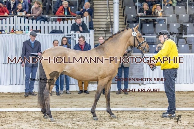 23 (39) | mandyhollmannphotographie