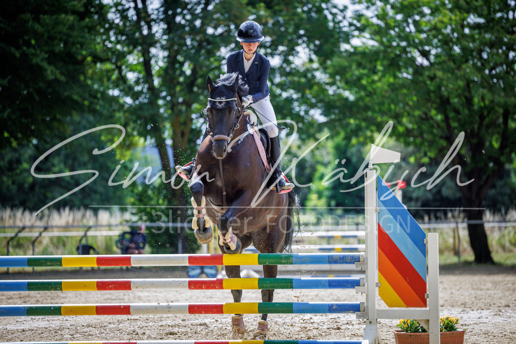 20260705-_3LI4417 | Tierfotografie Pferde, Hunde, Katzen, Haustiere.
Turnierfotografie Reitturniere, Reiten, Springreiten, Dressur in Hanau, dem Main-Kinzig-Kreis und dem Rhein-Main- Gebiet um Frankfurt