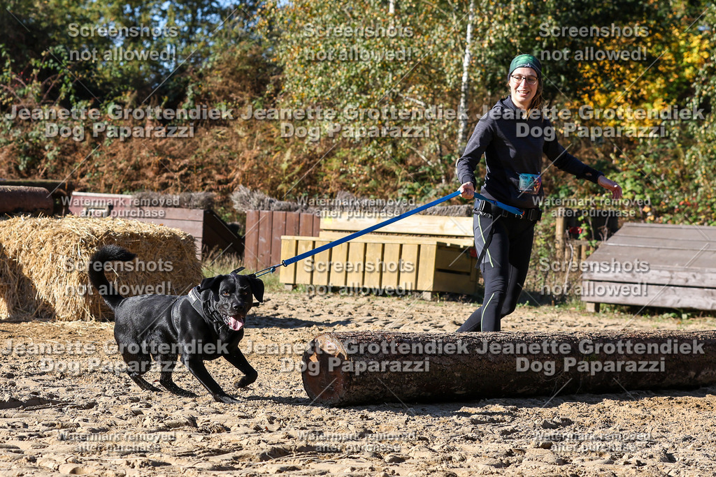 Dog Paparazzi - Strongdog 10-25-2807 | Dog Paparazzi Jeanette Grottendiek Fotografie & Videografie - Realisiert mit Pictrs.com