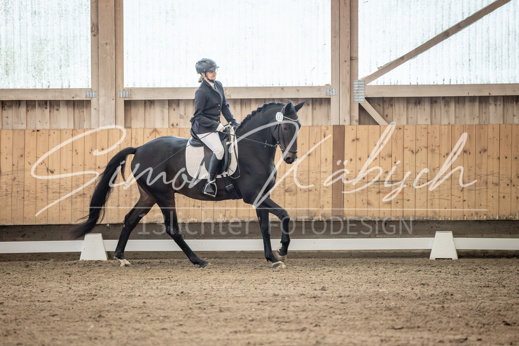 20251011-_3LI6436 | Tierfotografie Pferde, Hunde, Katzen, Haustiere.
Turnierfotografie Reitturniere, Reiten, Springreiten, Dressur in Hanau, dem Main-Kinzig-Kreis und dem Rhein-Main- Gebiet um Frankfurt