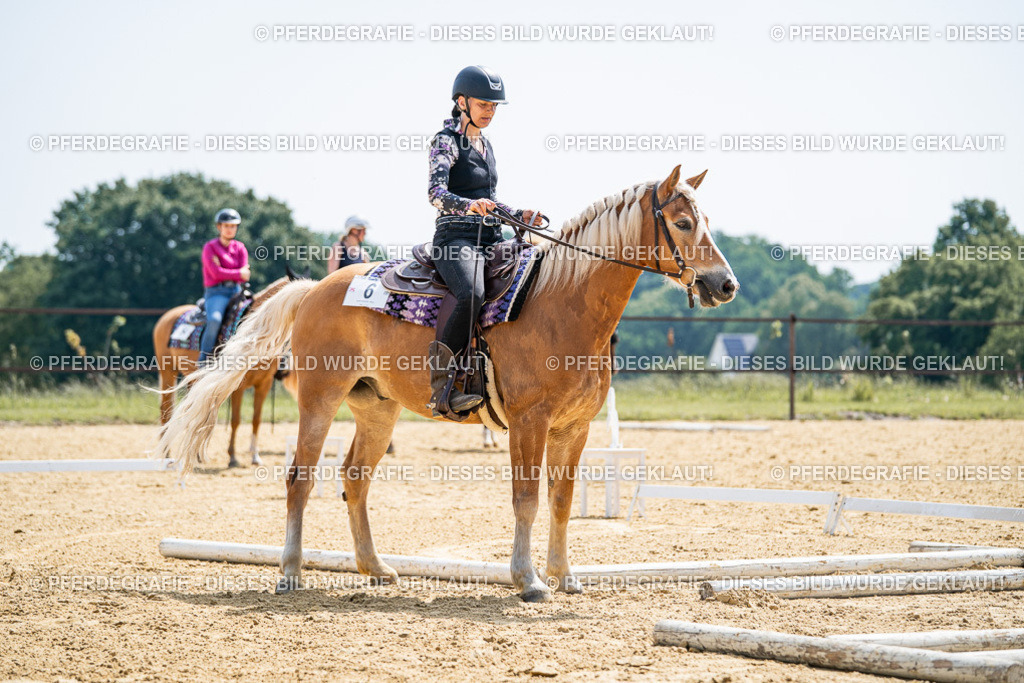 DSC00192 | Pferdegrafie