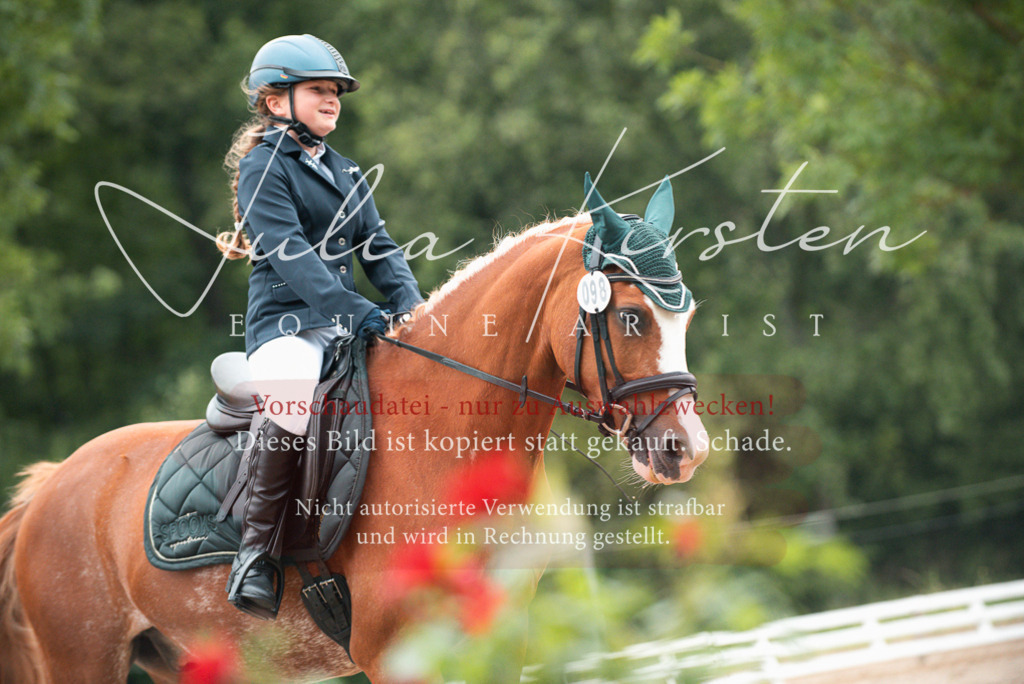 DSC_9629 | Pferde- und Turnierfotografie in Westsachsen. Pferdeportraits, Auftragszeichnungen und intuitive Kunst.