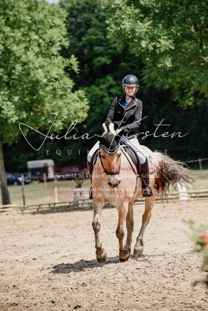 DSC_1675 | Pferde- und Turnierfotografie in Westsachsen. Pferdeportraits, Auftragszeichnungen und intuitive Kunst.