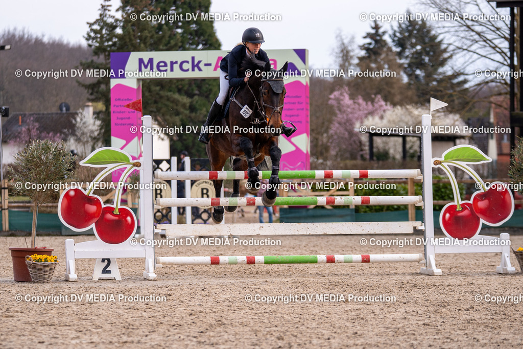 Kranichstein Tag 2-2271 | dv-media-shop - Realisiert mit Pictrs.com