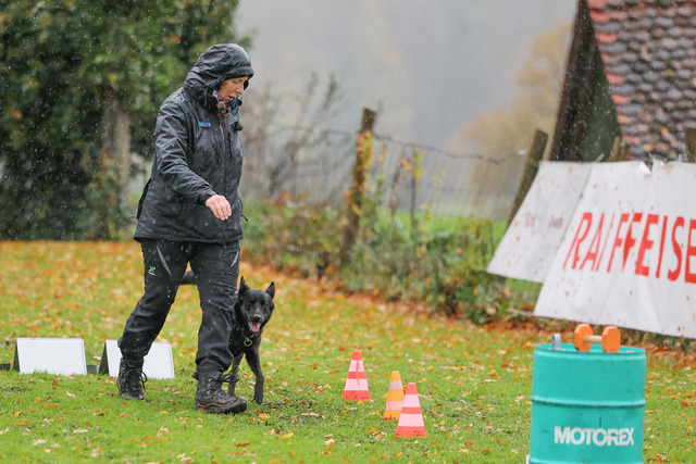 2025_Rally_Obedience_SM-143 | Ich fotografiere Hundeausstellungen, Sportanlässe, Zuchtstätten, Hundezucht, Hundeportrait, Lagotto - Realisiert mit Pictrs.com