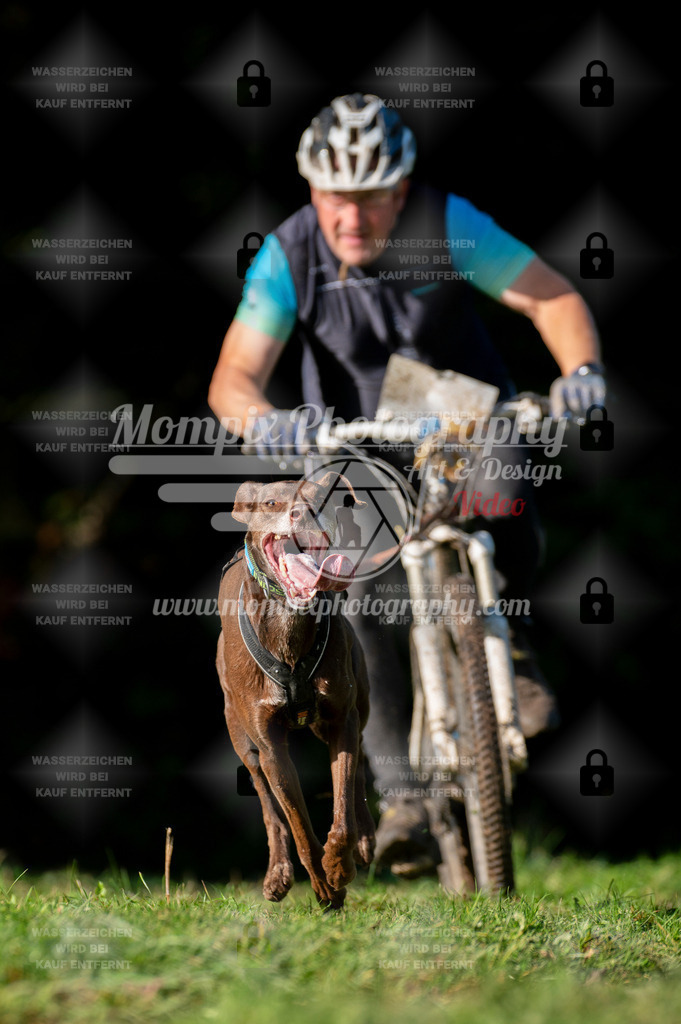 TSB_2023_E7_Bike-12 | PayLife