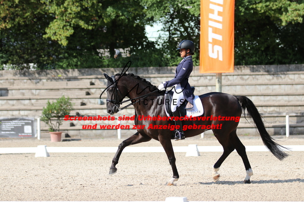 IMG_9286 | lmwpictures - Realisiert mit Pictrs.com