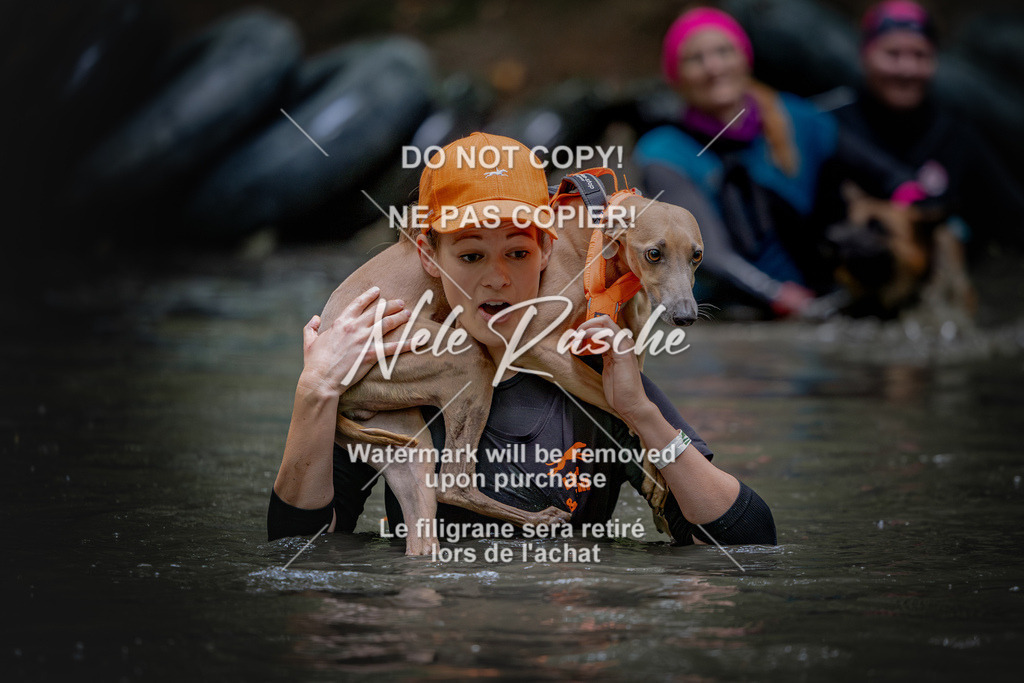 nelerasche_SaWingst1200-1230_334 | nelerasche