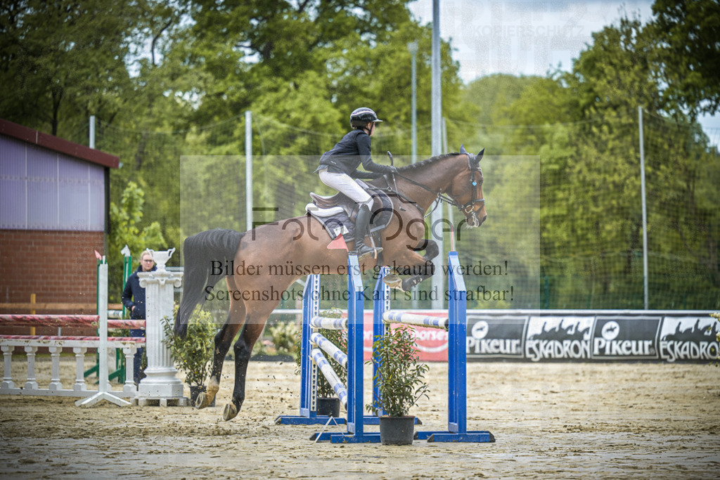 DOS_5963 | Entdecke hochwertige Reitturnierfotos von Foto Oger. Professionell, emotional und authentisch – jetzt Lieblingsmomente im Shop bestellen. - Realisiert mit Pictrs.com