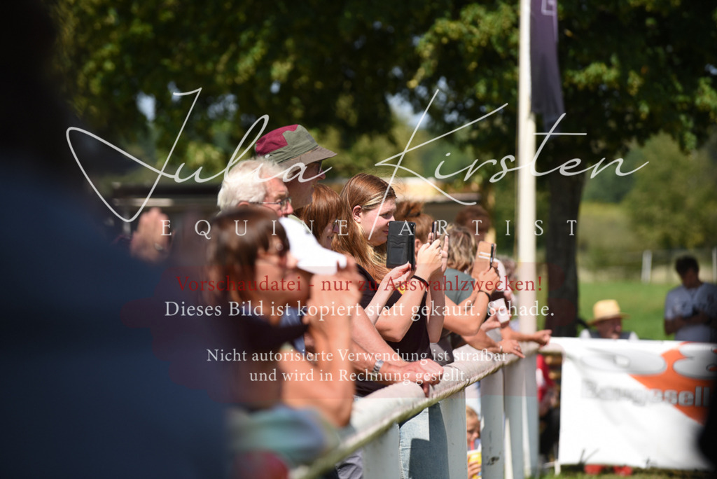 DSC_0134 | Pferde- und Turnierfotografie in Westsachsen. Pferdeportraits, Auftragszeichnungen und intuitive Kunst.
