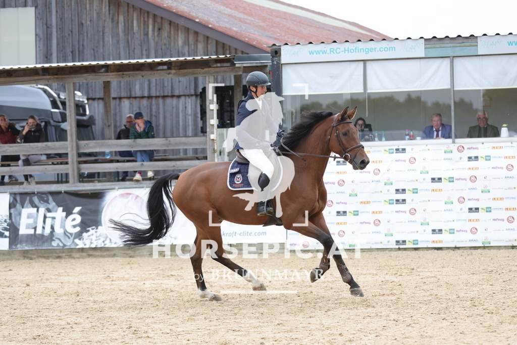 0P6A3311 | Willkommen bei Brunnmayr - Design & Fotografie – Ihrem Spezialisten für Reitturniere und Pferdeveranstaltungen in Oberösterreich, Salzburg und Bayern! Seit über 17 Jahren sind wir leidenschaftlich dabei.