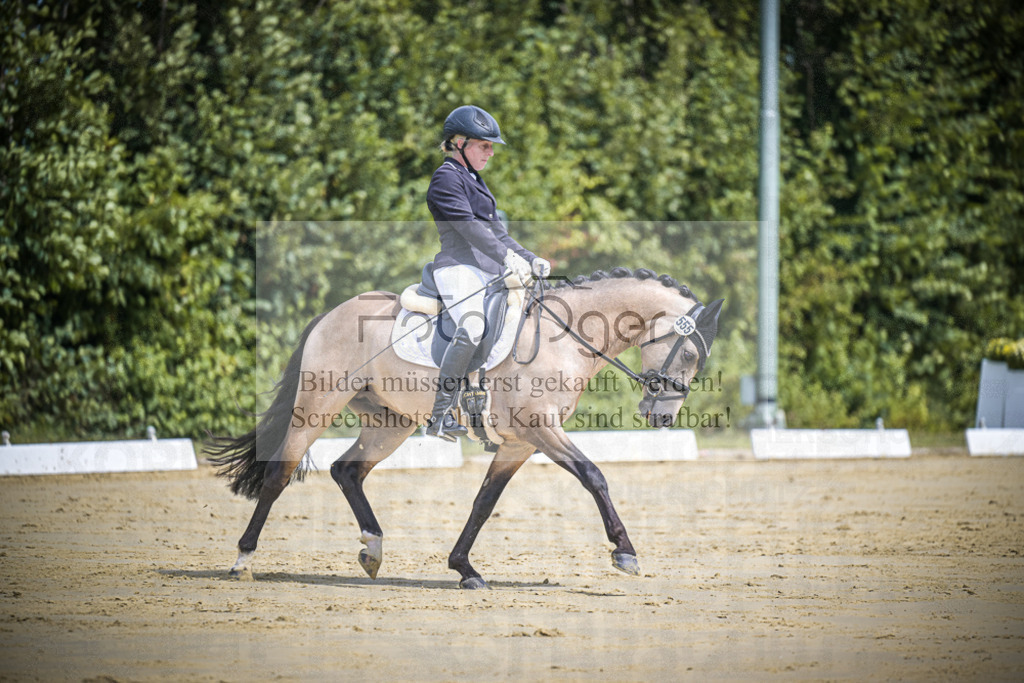 DOS_0371 | Entdecke hochwertige Reitturnierfotos von Foto Oger. Professionell, emotional und authentisch – jetzt Lieblingsmomente im Shop bestellen.Deutschlandweite Turnierfotografie. - Realisiert mit Pictrs.com