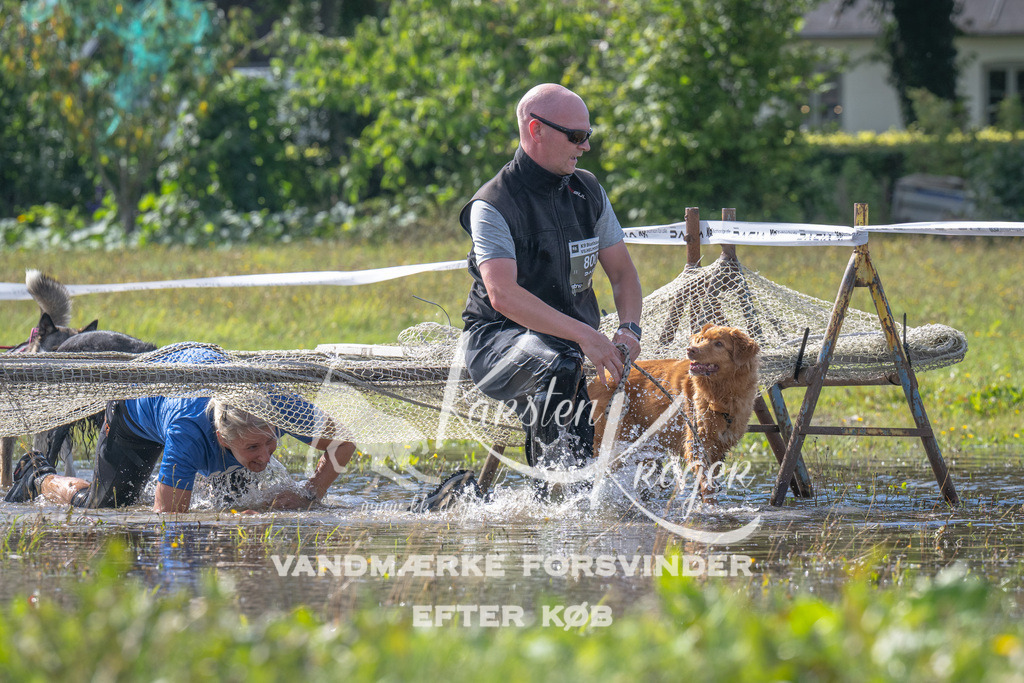 1203_ZZ90984 | kk-dogfotos