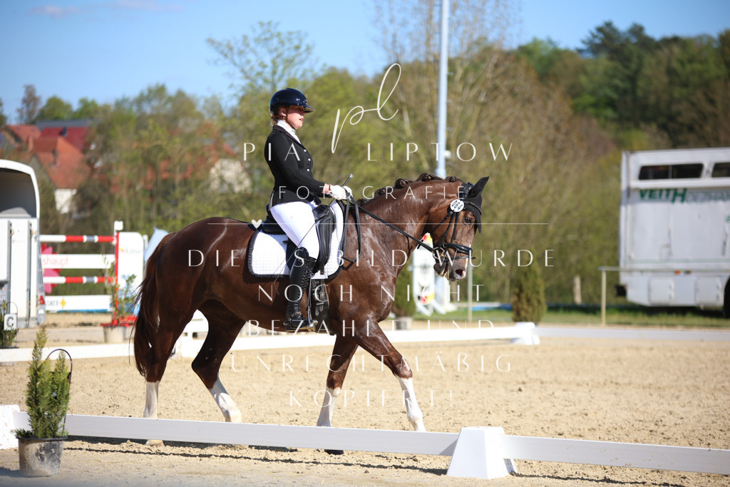 IMGT8819 | pl-fotografie