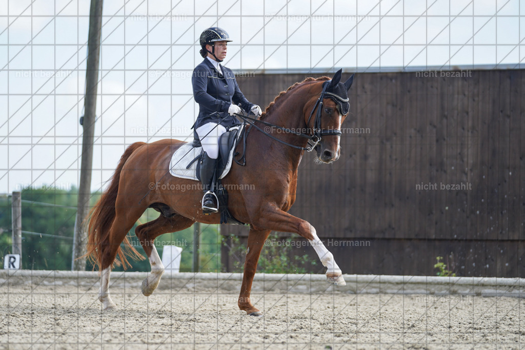 20230826-FAH06087 | Forstinning, 2023, Dressurturnier, Turniersportbilder, Turnierfotografen Bayern, Fotoagentur Herrmann, Reitsportfotografie, Turnierbilder