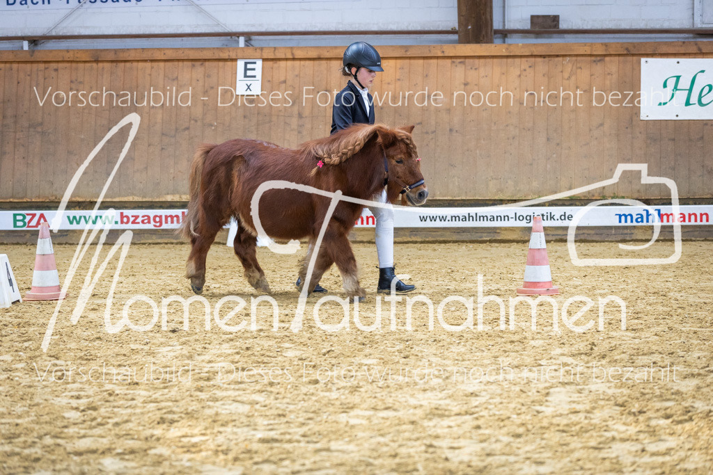 Sth-WBO25-Führ-WB-076 | MomenTaufnahmen Pferdesportfotos