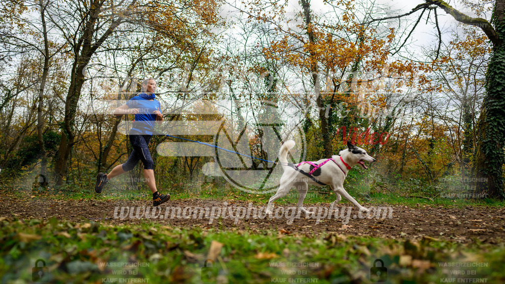 MompixPhotography_Bischwiller24_DI_CoursedeRelais-81 | PayLife