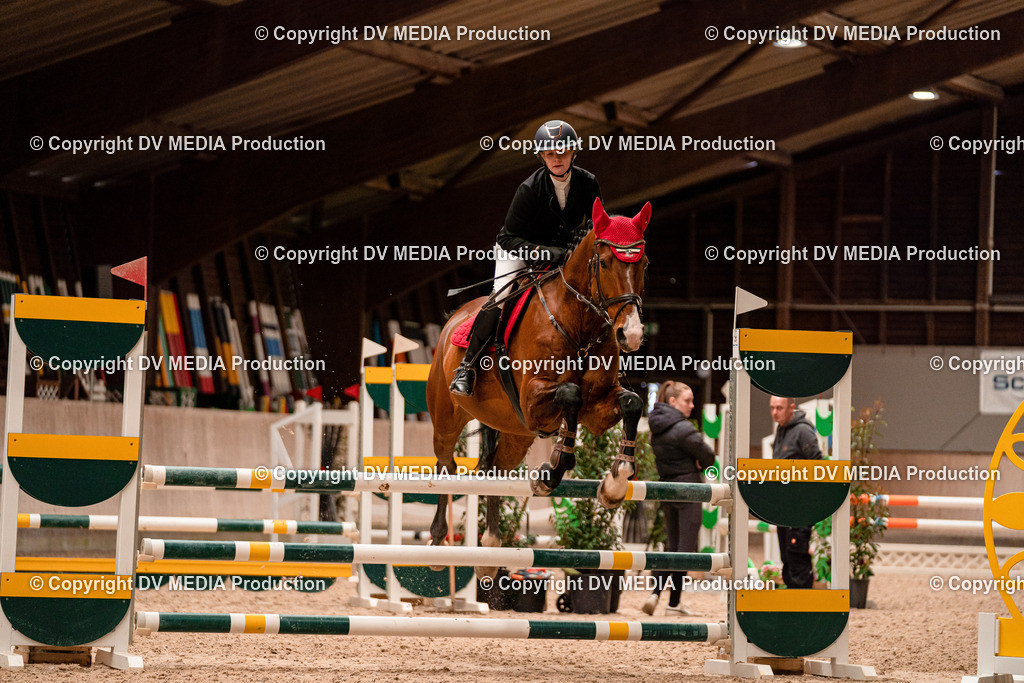 Springen Tag 2-409 | dv-media-shop - Realisiert mit Pictrs.com