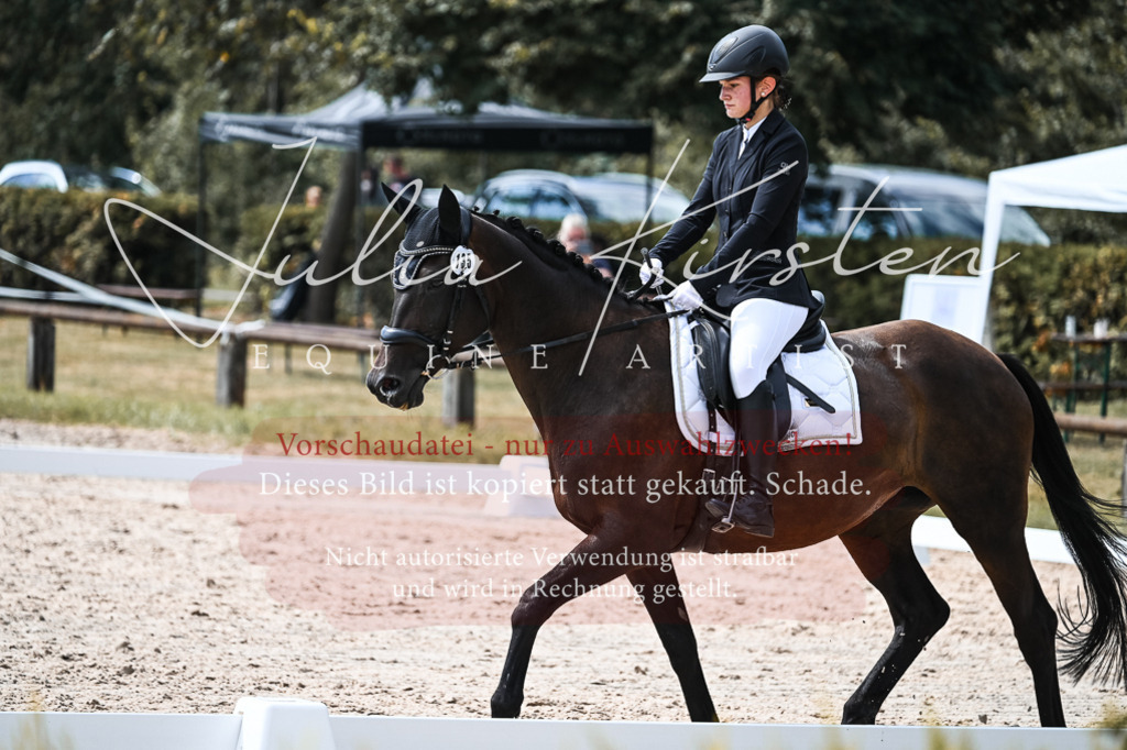 DSC_5258 | Pferde- und Turnierfotografie in Westsachsen. Pferdeportraits, Auftragszeichnungen und intuitive Kunst.