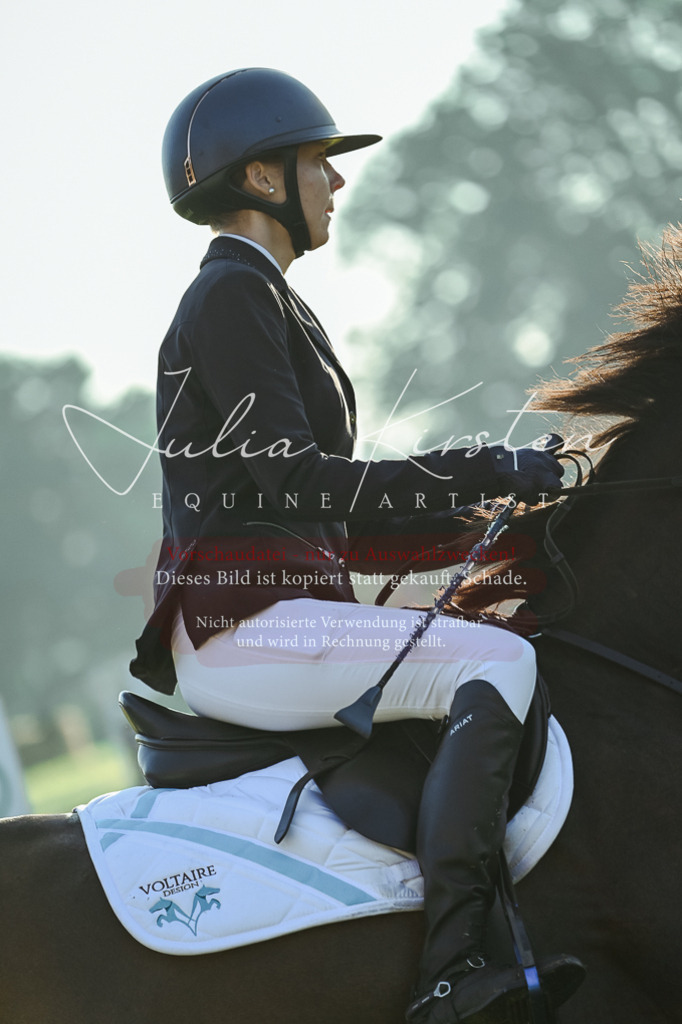DSC_3813 | Pferde- und Turnierfotografie in Westsachsen. Pferdeportraits, Auftragszeichnungen und intuitive Kunst.