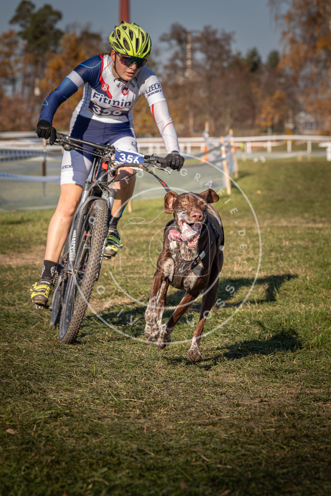 CaniXpix_0L8A6149 | Hundefotografie, Tierfotograf, Pfotenfotografie, Fotoshooting Hund, Hunde Portrait, Hundesport, Hundeportraits, Heideshooting, Hunde, Sportfotograf, Hundefotograf, Turnierhundsport, THS,  - Realisiert mit Pictrs.com